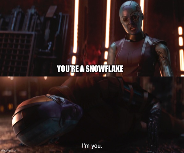 Nebula You're weak I'm you | YOU’RE A SNOWFLAKE | image tagged in nebula you're weak i'm you | made w/ Imgflip meme maker