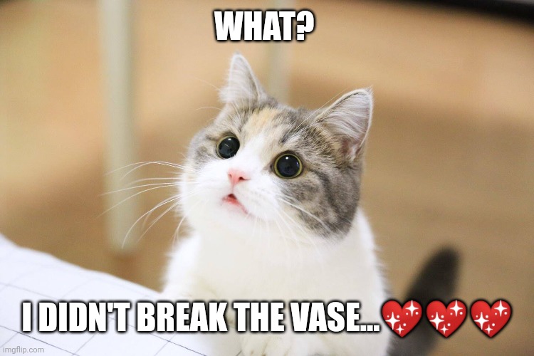 Yes you did. | WHAT? I DIDN'T BREAK THE VASE...💖💖💖 | image tagged in cute cat | made w/ Imgflip meme maker