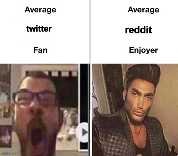Average Fan vs. Average Enjoyer |  twitter; reddit | image tagged in average fan vs average enjoyer,twitter,reddit | made w/ Imgflip meme maker