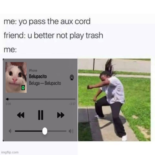 The most powerful song in the universe | image tagged in pass me the aux,beluga,belupacito,memes,music | made w/ Imgflip meme maker