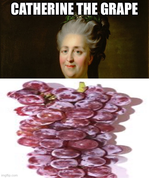 Guys I’m a time traveler I moved a chair someone help | CATHERINE THE GRAPE | image tagged in catherine the grape | made w/ Imgflip meme maker