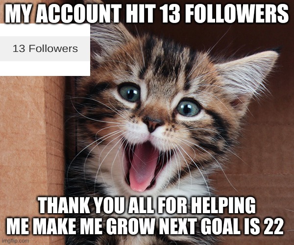 thank you all? | MY ACCOUNT HIT 13 FOLLOWERS; THANK YOU ALL FOR HELPING ME MAKE ME GROW NEXT GOAL IS 22 | image tagged in followers | made w/ Imgflip meme maker