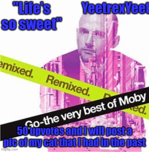 Moby 3.0 | 50 upvotes and I will post a pic of my cat that I had in the past | image tagged in moby 3 0 | made w/ Imgflip meme maker