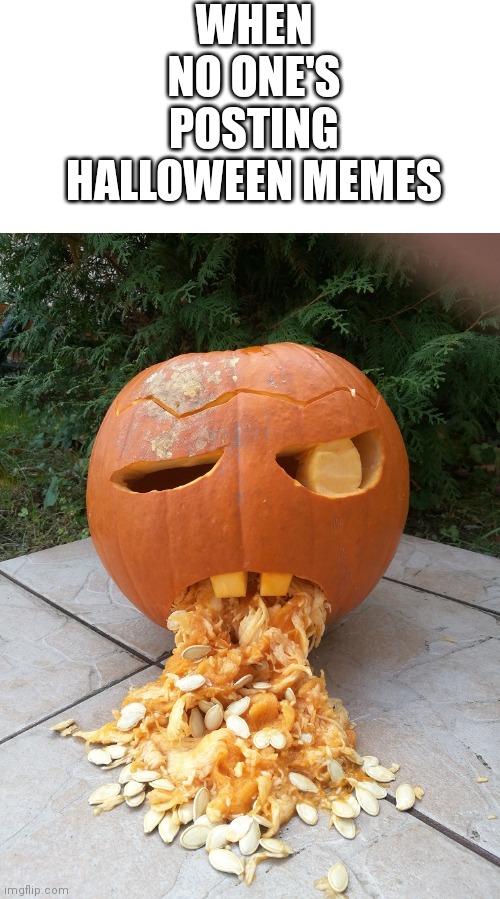 Halloween Pumkin Throwing Up | WHEN NO ONE'S POSTING HALLOWEEN MEMES | image tagged in halloween pumkin throwing up | made w/ Imgflip meme maker