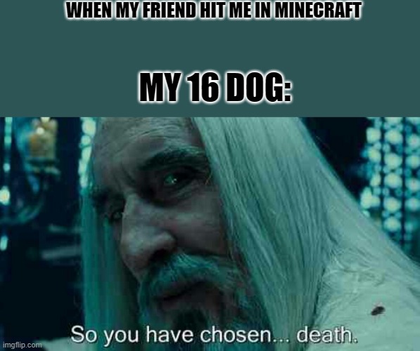 fact | WHEN MY FRIEND HIT ME IN MINECRAFT; MY 16 DOG: | image tagged in so you have chosen death,minecraft | made w/ Imgflip meme maker