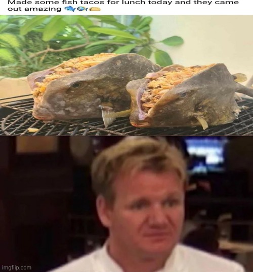 Disgusted Gordon Ramsay | image tagged in disgusted gordon ramsay,gordon ramsay,memes,food,tacos,fish | made w/ Imgflip meme maker