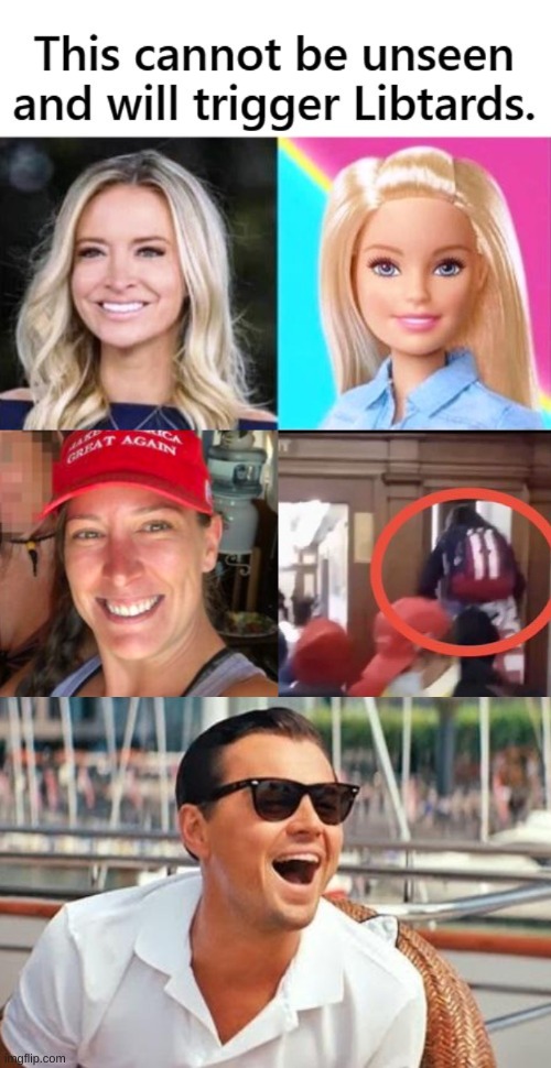 own the libs! | image tagged in memes,leonardo dicaprio wolf of wall street,ashli babbitt,qanon,capitol riot,white nationalism | made w/ Imgflip meme maker