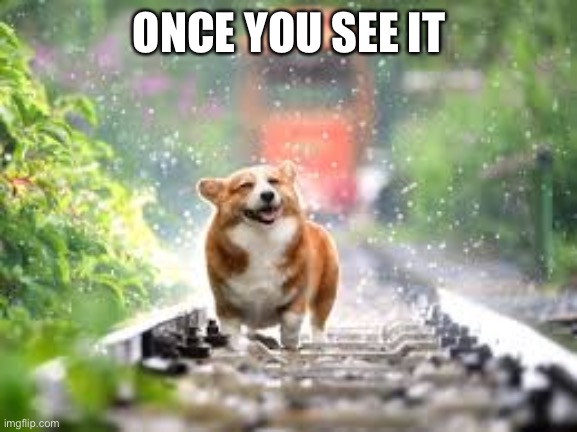  ONCE YOU SEE IT | image tagged in dog,gifs,not really a gif | made w/ Imgflip meme maker