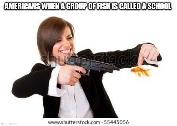 AMERICANS WHEN A GROUP OF FISH IS CALLED A SCHOOL | made w/ Imgflip meme maker