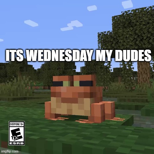 its wednesday | ITS WEDNESDAY MY DUDES | image tagged in wednesday | made w/ Imgflip meme maker