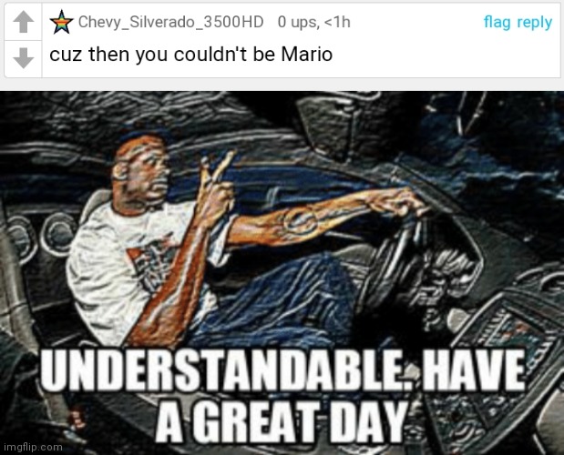 image tagged in understandable have a great day | made w/ Imgflip meme maker