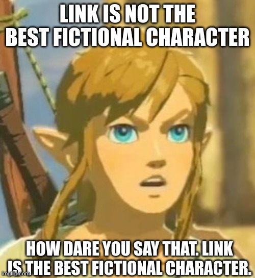 Offended Link |  LINK IS NOT THE BEST FICTIONAL CHARACTER; HOW DARE YOU SAY THAT. LINK IS THE BEST FICTIONAL CHARACTER. | image tagged in offended link | made w/ Imgflip meme maker