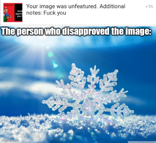 And y'all call me snowflake | The person who disapproved the image: | image tagged in snowflake | made w/ Imgflip meme maker