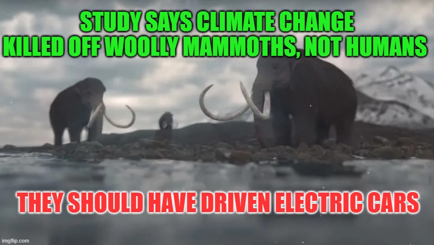 Woolly Mammoths and Climate Change | STUDY SAYS CLIMATE CHANGE KILLED OFF WOOLLY MAMMOTHS, NOT HUMANS; THEY SHOULD HAVE DRIVEN ELECTRIC CARS | image tagged in climate change | made w/ Imgflip meme maker