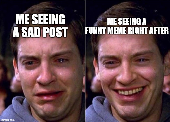 My life | ME SEEING A FUNNY MEME RIGHT AFTER; ME SEEING A SAD POST | image tagged in peter parker sad cry happy cry | made w/ Imgflip meme maker