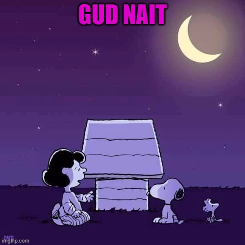Good night  | GUD NAIT | image tagged in good night | made w/ Imgflip meme maker