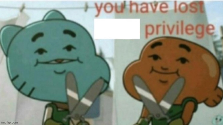 You have lost __ privileges BLANK | image tagged in you have lost penis privileges | made w/ Imgflip meme maker