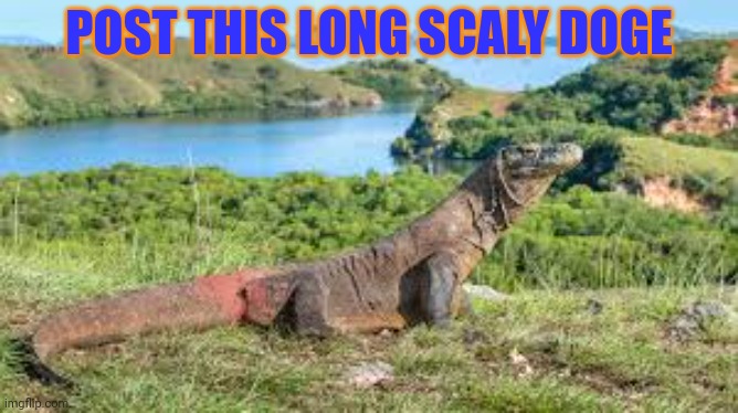 POST THIS LONG SCALY DOGE | made w/ Imgflip meme maker