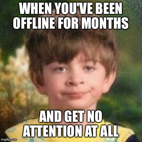 :/ | WHEN YOU'VE BEEN OFFLINE FOR MONTHS; AND GET NO ATTENTION AT ALL | image tagged in blank stare kid | made w/ Imgflip meme maker