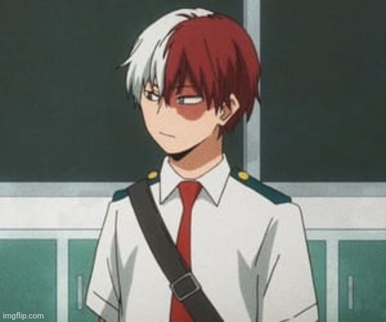 Shoto Todoroki | image tagged in shoto todoroki | made w/ Imgflip meme maker