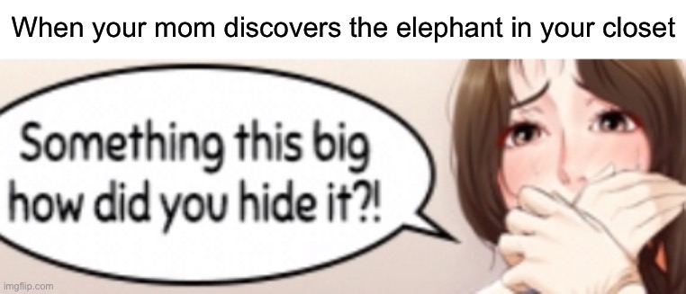 It’s hard to make good memes out of these awful ads | When your mom discovers the elephant in your closet | image tagged in funny | made w/ Imgflip meme maker
