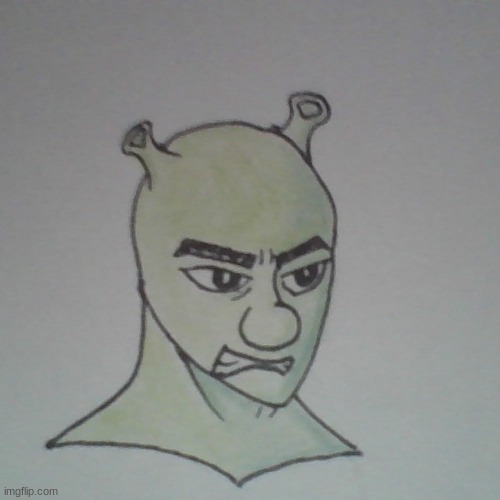 anime Shrek | image tagged in anime meme,shrek | made w/ Imgflip meme maker