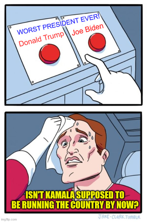 Which is Worse? | WORST PRESIDENT EVER! Joe Biden; Donald Trump; ISN'T KAMALA SUPPOSED TO BE RUNNING THE COUNTRY BY NOW? | image tagged in two buttons,joe biden,kamala harris,donald trump,worst president now,demodummies | made w/ Imgflip meme maker