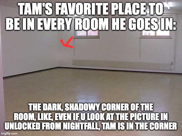 Empty Room | TAM'S FAVORITE PLACE TO BE IN EVERY ROOM HE GOES IN:; THE DARK, SHADOWY CORNER OF THE ROOM, LIKE, EVEN IF U LOOK AT THE PICTURE IN UNLOCKED FROM NIGHTFALL, TAM IS IN THE CORNER | image tagged in empty room | made w/ Imgflip meme maker