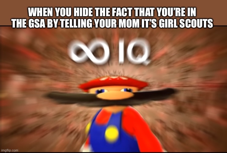 Infinity IQ Mario | WHEN YOU HIDE THE FACT THAT YOU’RE IN THE GSA BY TELLING YOUR MOM IT’S GIRL SCOUTS | image tagged in infinity iq mario | made w/ Imgflip meme maker