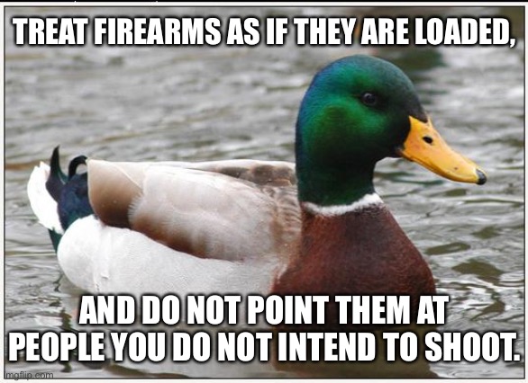 Gun safety is important | TREAT FIREARMS AS IF THEY ARE LOADED, AND DO NOT POINT THEM AT PEOPLE YOU DO NOT INTEND TO SHOOT. | image tagged in memes,actual advice mallard,guns,safety,alec baldwin,control | made w/ Imgflip meme maker
