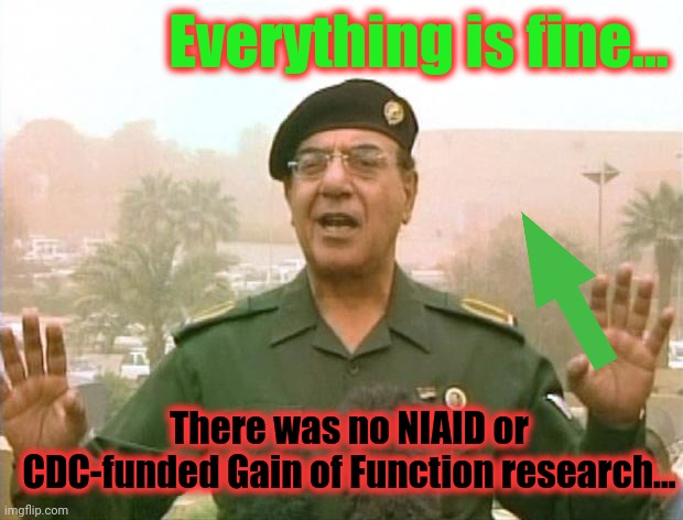 Iraqi Information Minister | Everything is fine... There was no NIAID or CDC-funded Gain of Function research... | image tagged in iraqi information minister | made w/ Imgflip meme maker