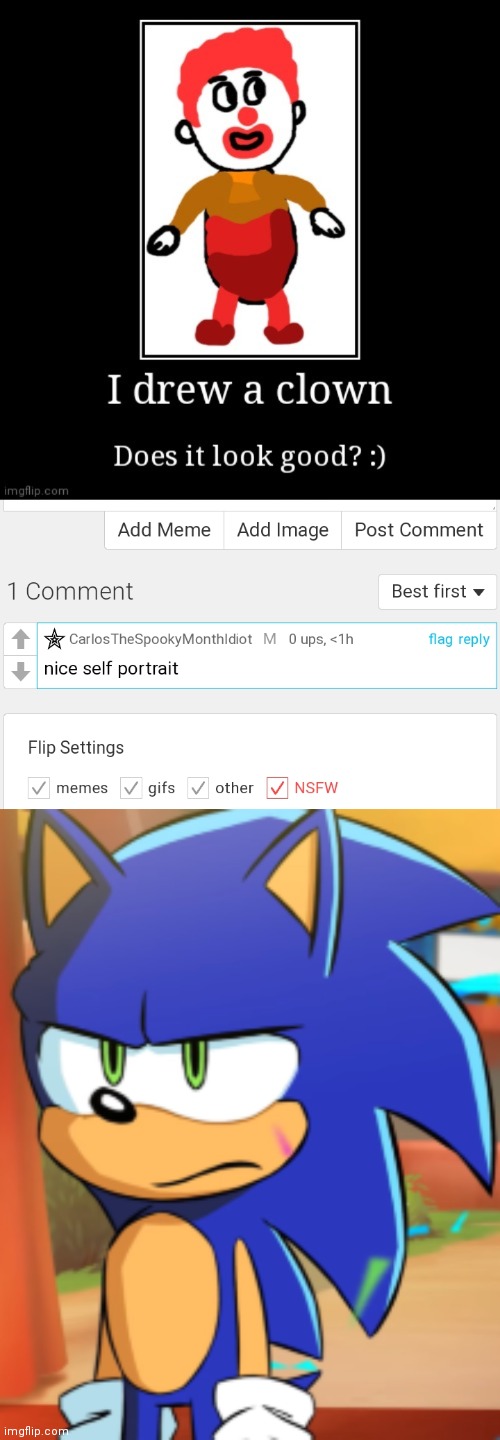 image tagged in sonic bruh seriously | made w/ Imgflip meme maker