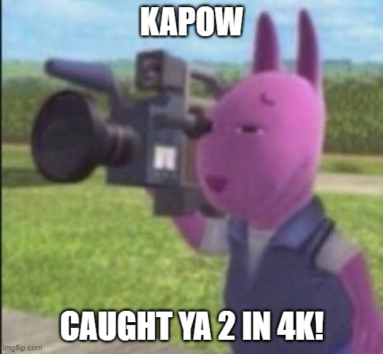 Caught in 4k | KAPOW CAUGHT YA 2 IN 4K! | image tagged in caught in 4k | made w/ Imgflip meme maker
