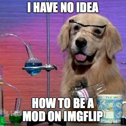 I Have No Idea What I Am Doing Dog Meme | I HAVE NO IDEA HOW TO BE A MOD ON IMGFLIP | image tagged in memes,i have no idea what i am doing dog | made w/ Imgflip meme maker