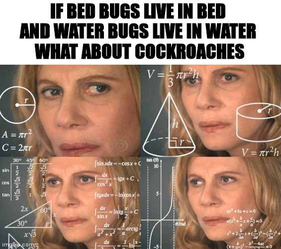 My brain at 3:00 AM | IF BED BUGS LIVE IN BED 
AND WATER BUGS LIVE IN WATER 
WHAT ABOUT COCKROACHES | image tagged in calculating meme,infinite iq,dank memes,dumb ass | made w/ Imgflip meme maker