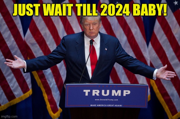 Donald Trump | JUST WAIT TILL 2024 BABY! | image tagged in donald trump | made w/ Imgflip meme maker
