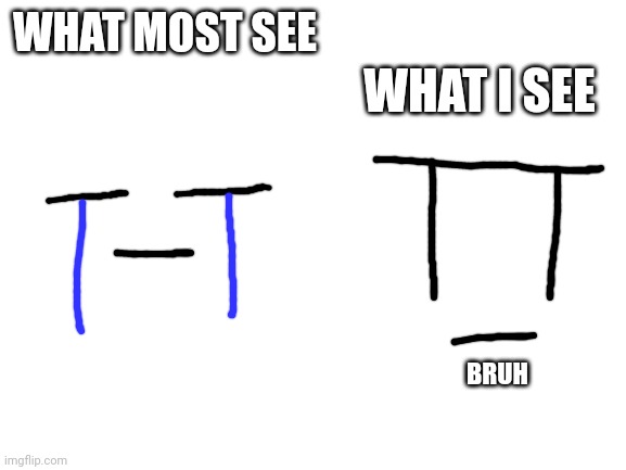 Blank White Template | WHAT I SEE; WHAT MOST SEE; BRUH | image tagged in blank white template | made w/ Imgflip meme maker