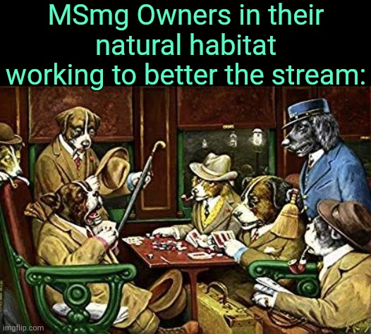 . | MSmg Owners in their natural habitat working to better the stream: | image tagged in dogs playing poker | made w/ Imgflip meme maker