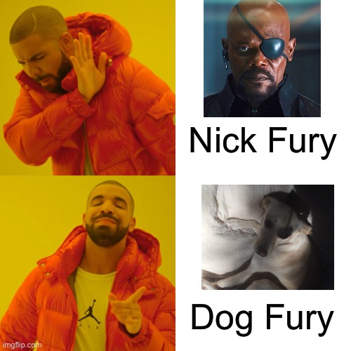I paused an old video of my pup and she became Dog Fury | Nick Fury; Dog Fury | image tagged in memes,drake hotline bling,nick fury,dog fury,dog | made w/ Imgflip meme maker