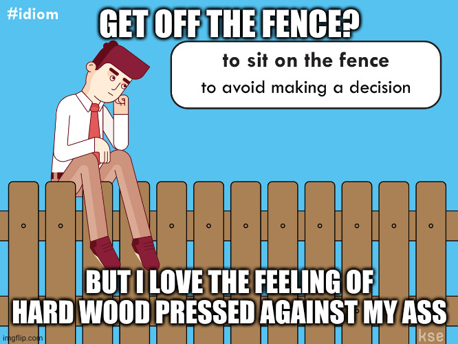 Watch for splinters | GET OFF THE FENCE? BUT I LOVE THE FEELING OF HARD WOOD PRESSED AGAINST MY ASS | image tagged in to sit on the fence | made w/ Imgflip meme maker