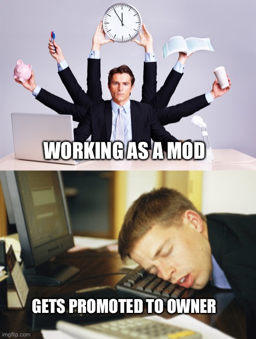 Hardy har | WORKING AS A MOD; GETS PROMOTED TO OWNER | image tagged in working hard,asleep at keyboard | made w/ Imgflip meme maker