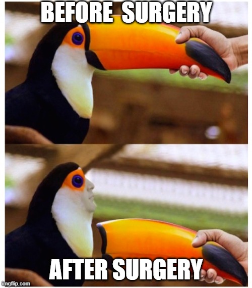 BEFORE  SURGERY; AFTER SURGERY | image tagged in horrific result | made w/ Imgflip meme maker