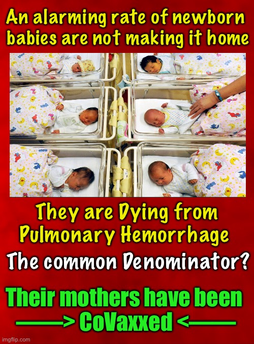 It didn’t have to be this way | An alarming rate of newborn 
babies are not making it home; They are Dying from
Pulmonary Hemorrhage; The common Denominator? Their mothers have been 
——> CoVaxxed <—— | image tagged in memes,newborn babies,covid,vaccines,vaccinations,its a crying shame | made w/ Imgflip meme maker