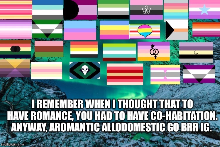 Northern Lights Announcement | I REMEMBER WHEN I THOUGHT THAT TO HAVE ROMANCE, YOU HAD TO HAVE CO-HABITATION. ANYWAY, AROMANTIC ALLODOMESTIC GO BRR IG. | image tagged in northern lights announcement | made w/ Imgflip meme maker