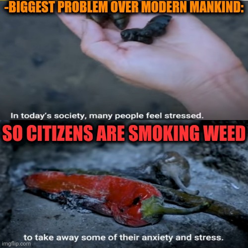 -Chasing the fairy. | -BIGGEST PROBLEM OVER MODERN MANKIND:; SO CITIZENS ARE SMOKING WEED | image tagged in smoke weed everyday,social anxiety,modern problems,we live in a society,don't do drugs,psychology | made w/ Imgflip meme maker