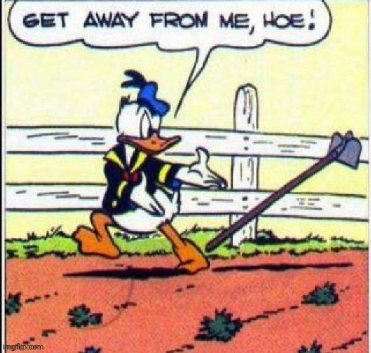 Donald duck | image tagged in donald duck | made w/ Imgflip meme maker
