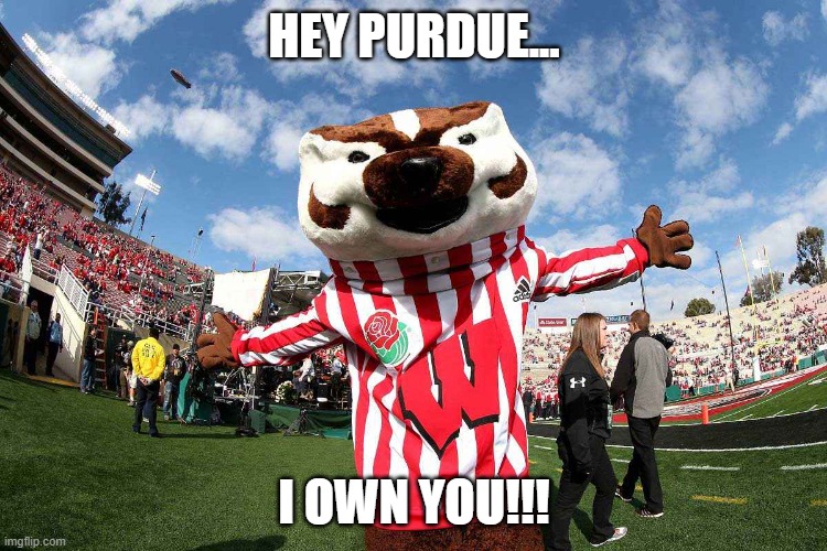 bucky badger | HEY PURDUE... I OWN YOU!!! | image tagged in wisconsin | made w/ Imgflip meme maker