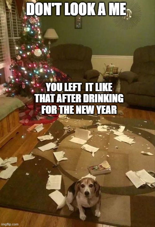 DON'T LOOK A ME; YOU LEFT  IT LIKE THAT AFTER DRINKING FOR THE NEW YEAR | image tagged in bad pun dog | made w/ Imgflip meme maker