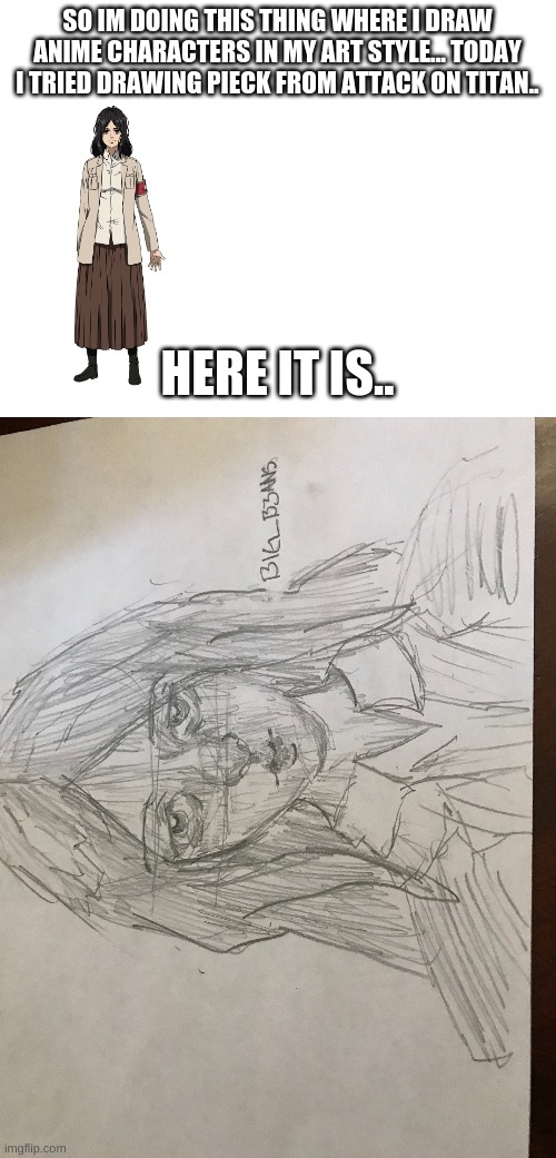 sorry its upside down, its on paper cause i suck at digital art :´) | SO IM DOING THIS THING WHERE I DRAW ANIME CHARACTERS IN MY ART STYLE... TODAY I TRIED DRAWING PIECK FROM ATTACK ON TITAN.. HERE IT IS.. | image tagged in blank white template,aot,drawing,sketch | made w/ Imgflip meme maker