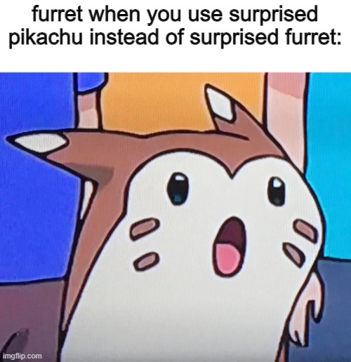 suprised furret | furret when you use surprised pikachu instead of surprised furret: | image tagged in suprised furret | made w/ Imgflip meme maker